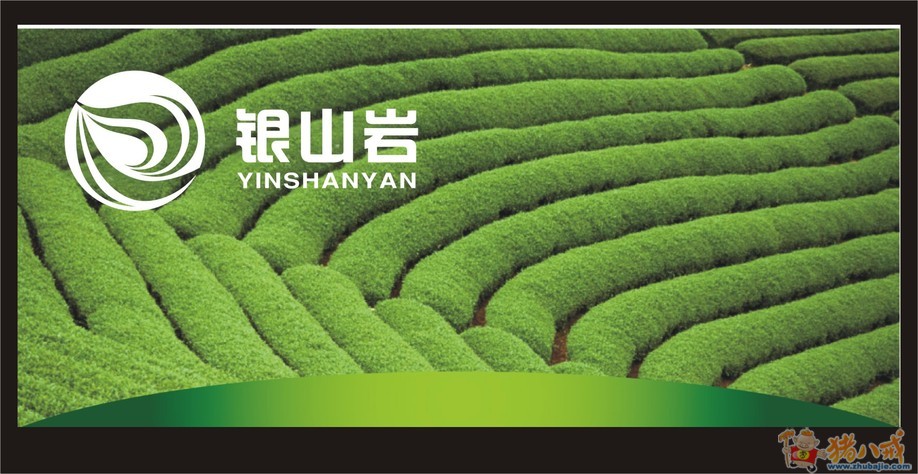 新待蔬菜种子